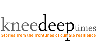 KneeDeep Times