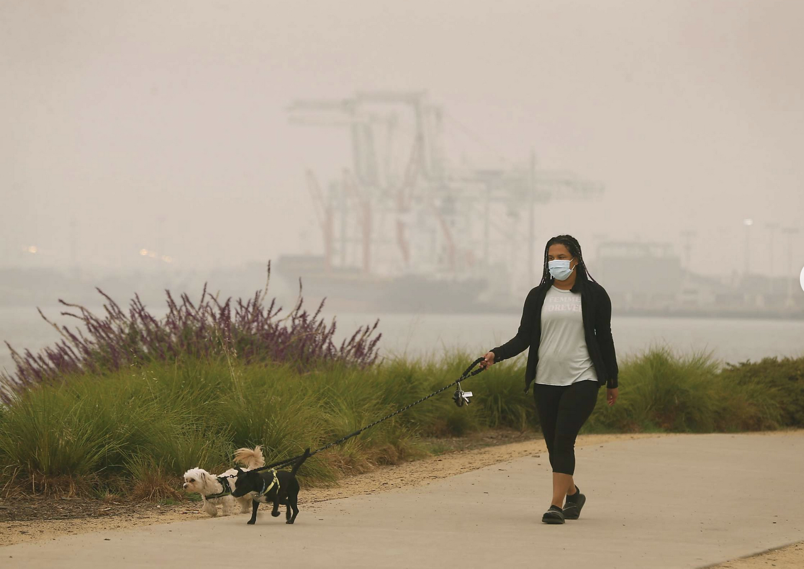 lady walking dogs on smokey day oakland by Paul Chinn