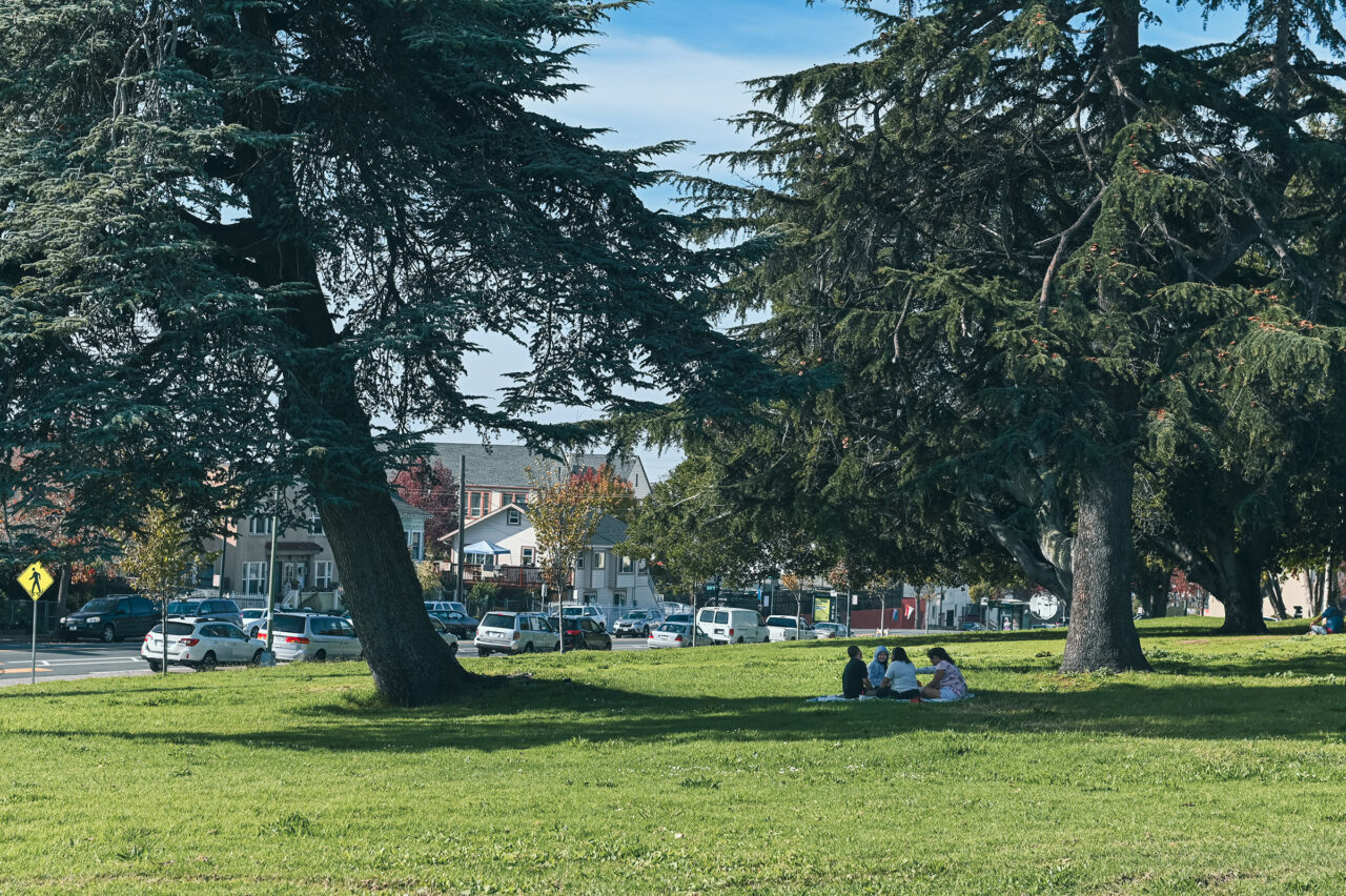Enjoying a moment in the shade of old trees in San Antonio Park, Oakland. Photo: Lonny Meyer.
