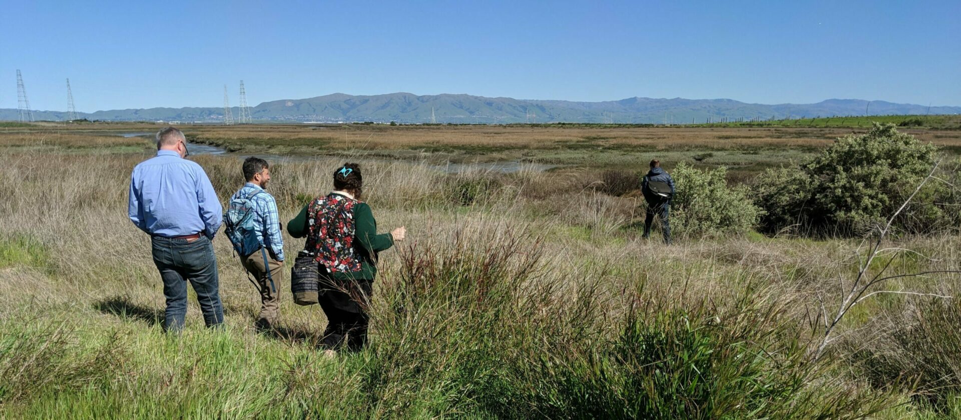 Palo Alto shoreline in vicinity of proposed horizontal levee project. Photo: Adrian Baudrimont.