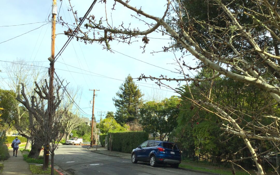 Power Down, Safety Up for Christmas Hill