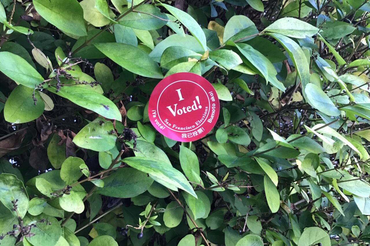 Red San Francisco "I voted" sticker on green leafy bush.