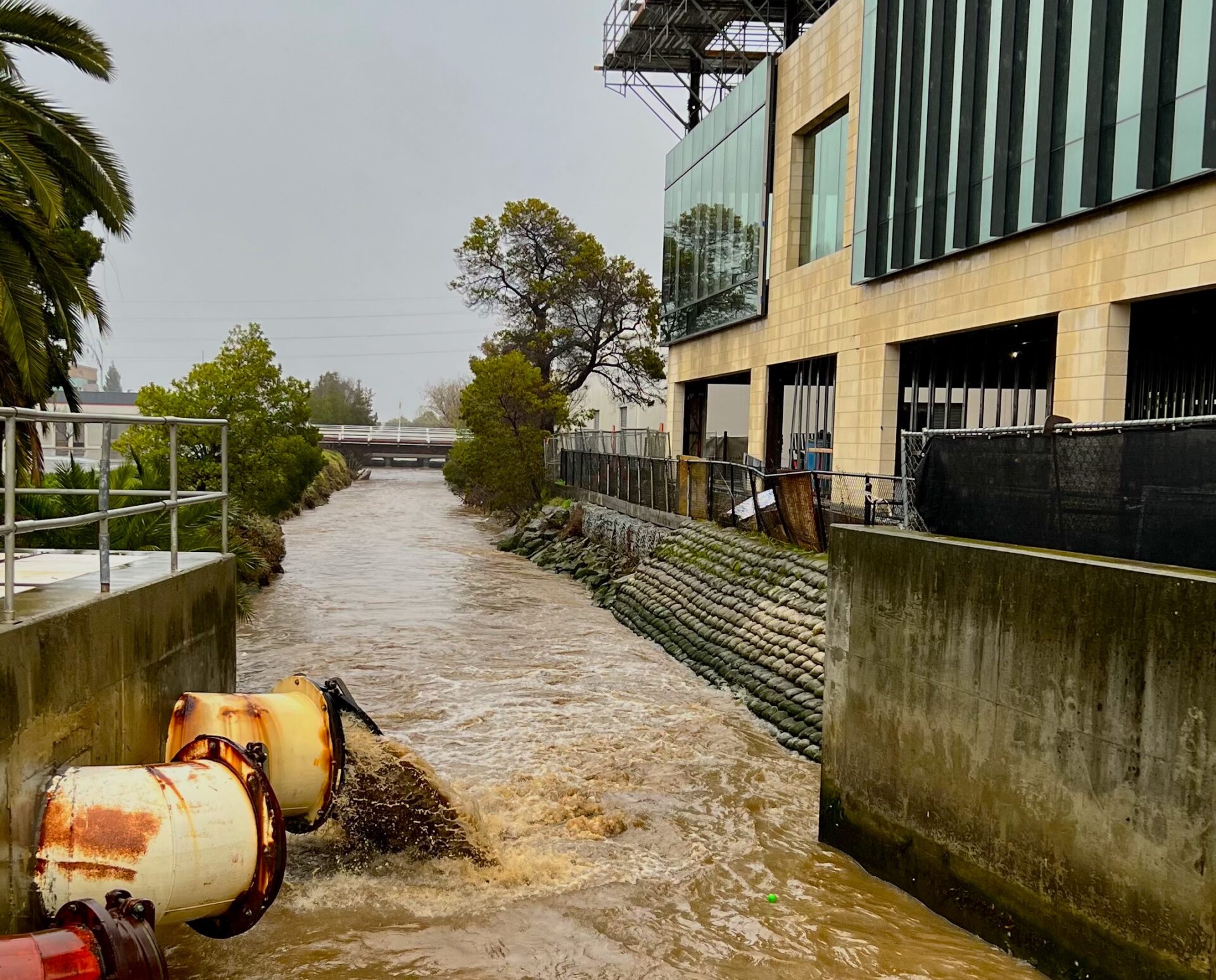 flooding in redwood city at king tide