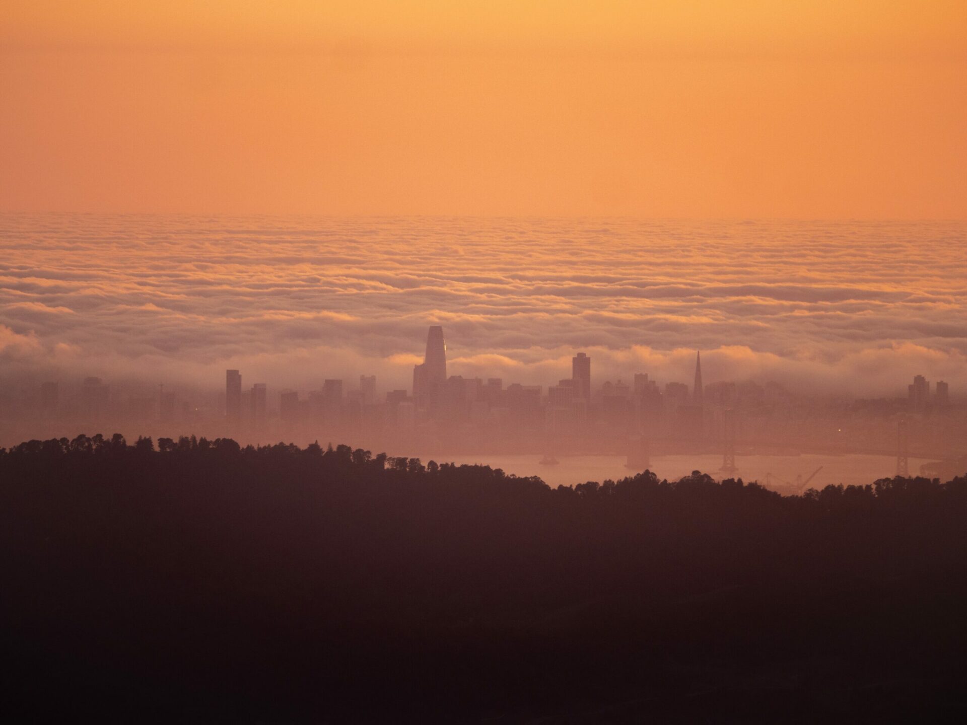 As temperatures heat up and become more variable, the Bay Area’s historically mild climate is becoming a liability.