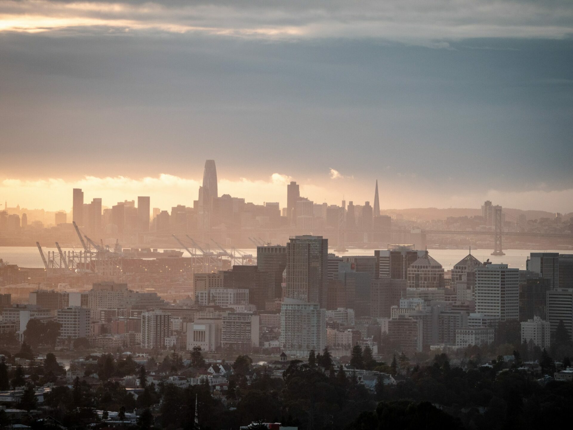Photo Ronan Furuta on Unsplash.