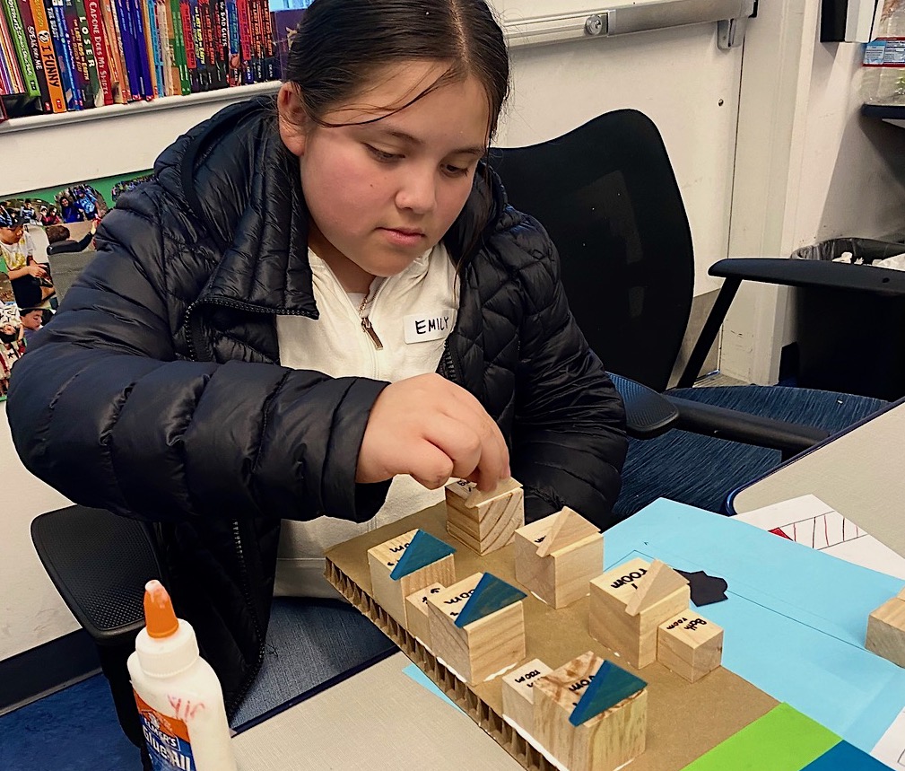 Emily builds resilient house by Shirl Buss.