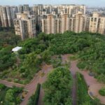 Mumbai’s Microforests Model Cooling for California
