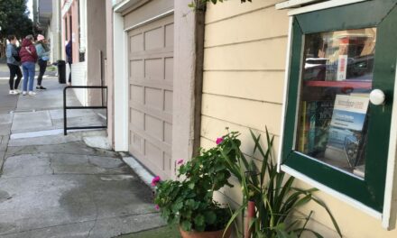 Live Near a Tiny Library? Join Our Citizen Marketing Campaign