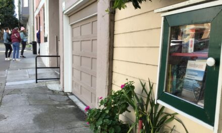 Live Near a Tiny Library? Join Our Citizen Marketing Campaign
