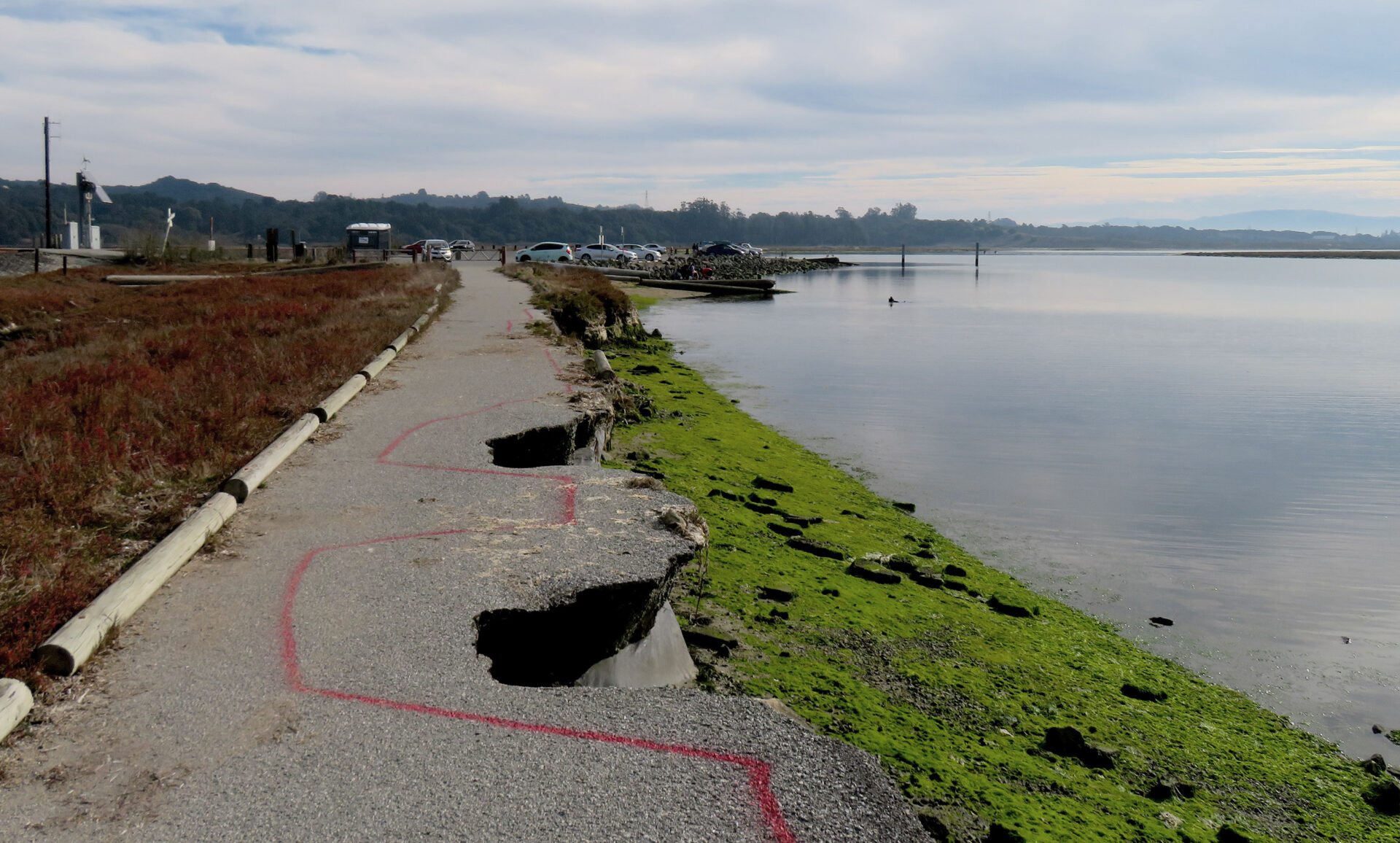 Damage to trail at Kirby Marsh in Elkhorn Slough. Damage to trail at Kirby Marsh in Elkhorn Slough. Photo: Isaac Pearlman