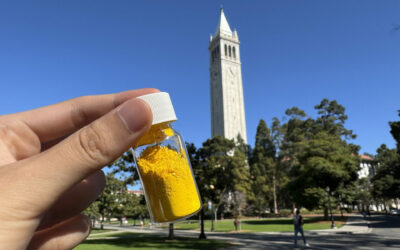 UC Berkeley’s Brilliant Breakthrough in Carbon Capture