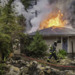 Staying Wise About Fire – 5 Years Post-CZU