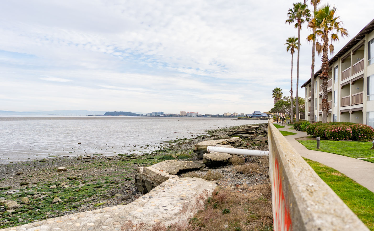 Photo: OneShoreline
