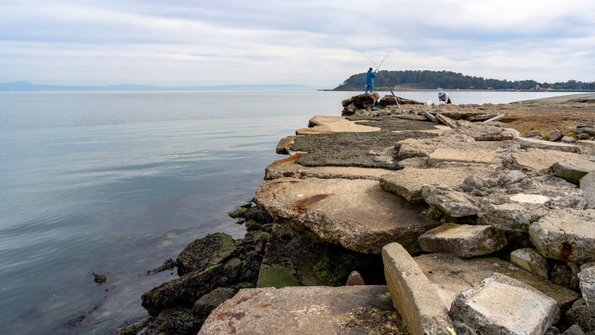 At Shoreline Near SFO, 3 High-Concept Plans for Sea Level Rise