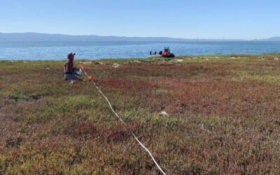 Boxes of Mud Could Tell a Hopeful Sediment Story
