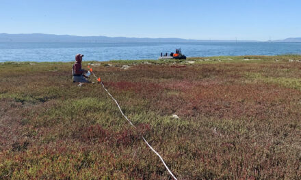 Boxes of Mud Could Tell a Hopeful Sediment Story