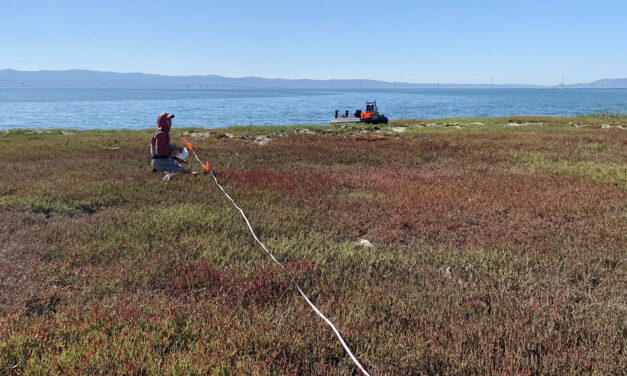Boxes of Mud Could Tell a Hopeful Sediment Story