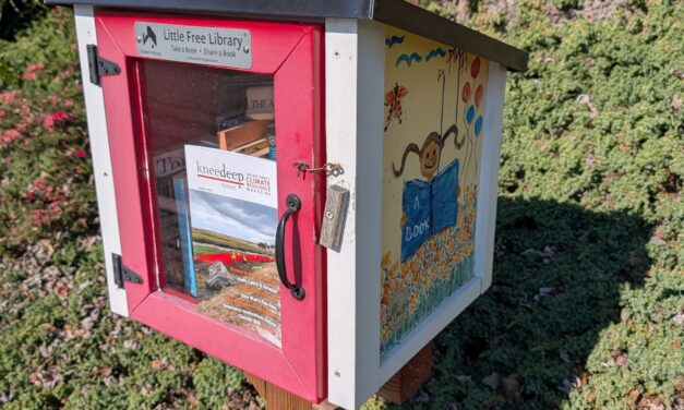 Live Near a Tiny Library? Join Our Citizen Marketing Campaign