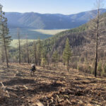 Federal Funding Flip-Flops Stop Work on California Forest Safety and Working Lands Projects