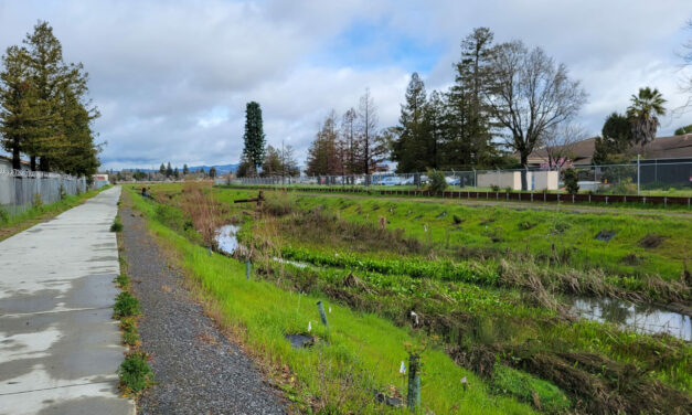Can Colgan Creek Do It All? Santa Rosa Reimagines Flood Control