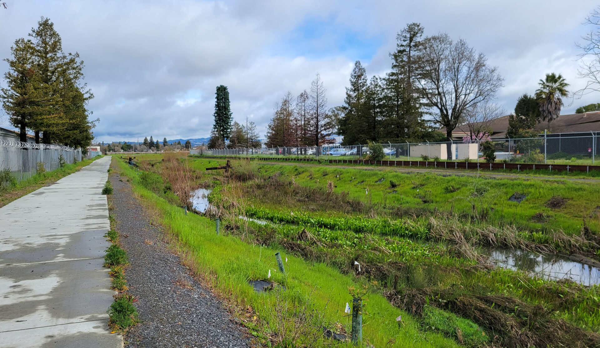 A section of Colgan Creek with a sidewalk running next to it.