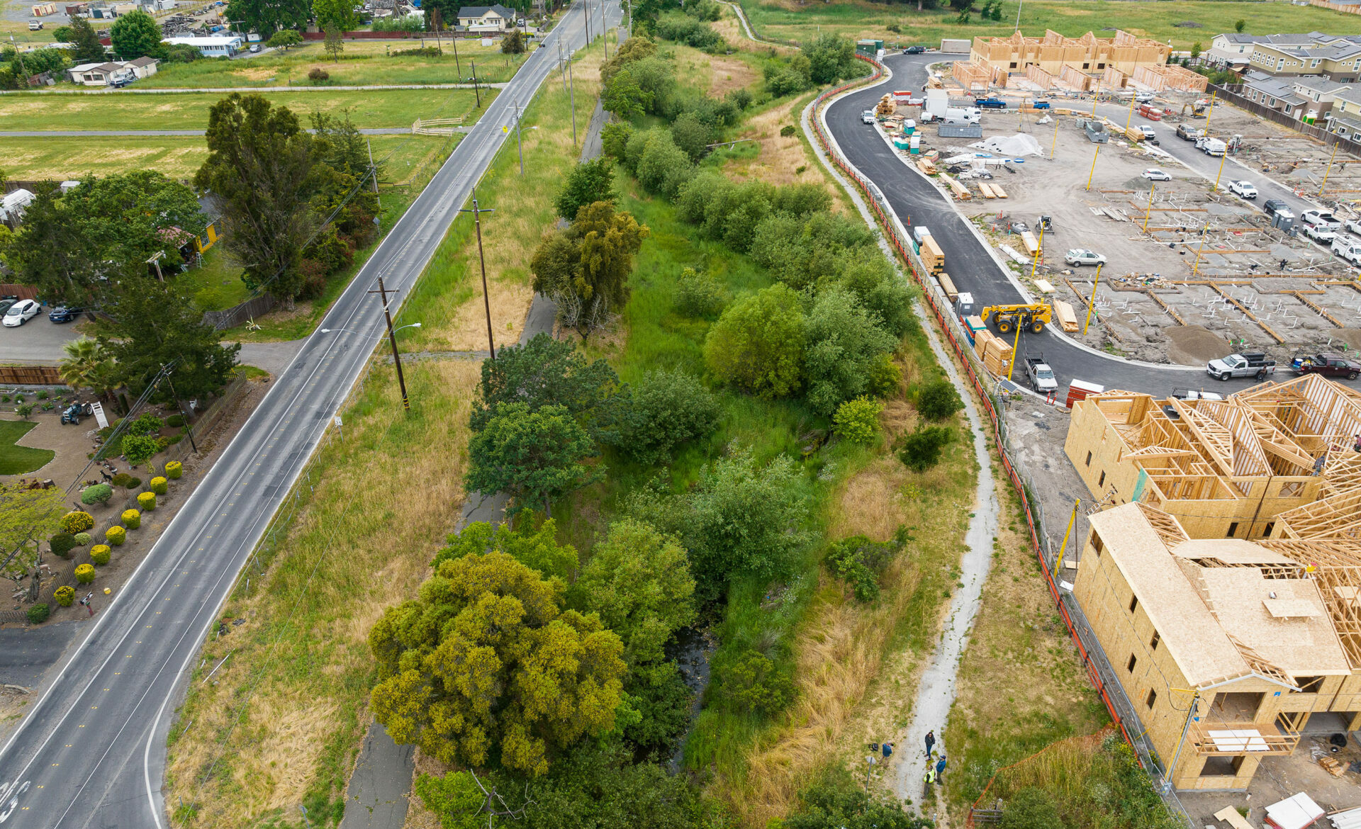 Riparian creek corridor