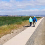 A Ramble Around Pacheco Marsh