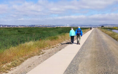 A Ramble Around Pacheco Marsh