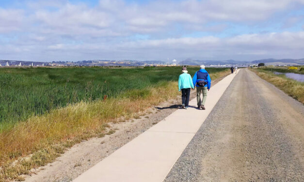 A Ramble Around Pacheco Marsh