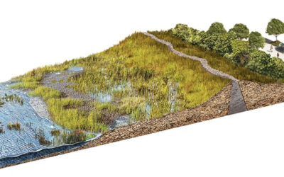New Metrics on Hybrid Gray-Green Levees