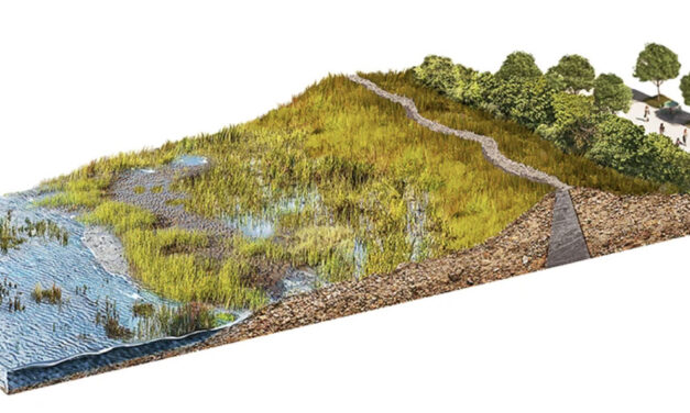 New Metrics on Hybrid Gray-Green Levees