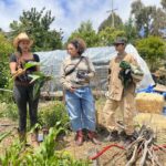 Composting as a Ritual for Renewal