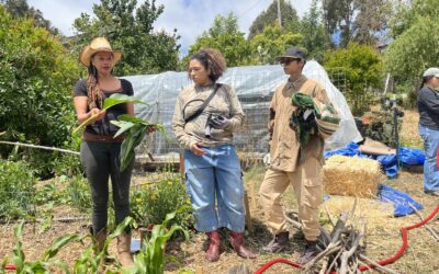 Composting as a Ritual for Renewal