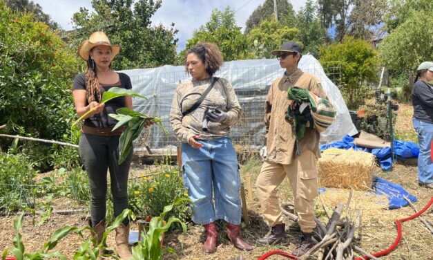Composting as a Ritual for Renewal