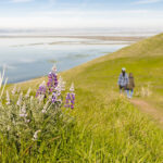 Investing in Climate Smart Parkscapes at Coyote Hills 