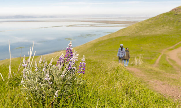 Investing in Climate Smart Parkscapes at Coyote Hills 
