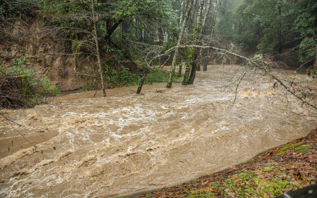 How Two Rivers Could Rescue Sinking Beaches and Marshes