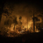 Insurance Innovations Reward Communities Trying to Reduce Climate Risk 