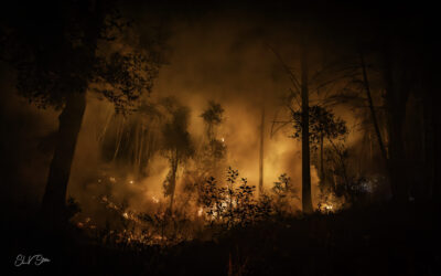 Insurance Innovations Reward Communities Trying to Reduce Climate Risk 