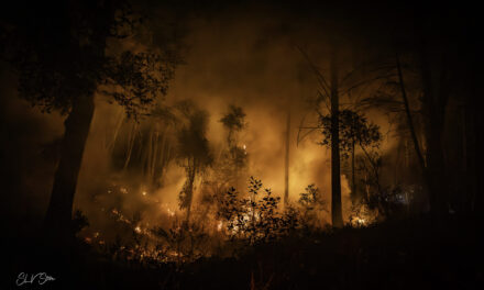 Insurance Innovations Reward Communities Trying to Reduce Climate Risk 