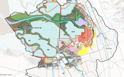 Nailing Down Opportunities for Nature-Based Infrastructure 