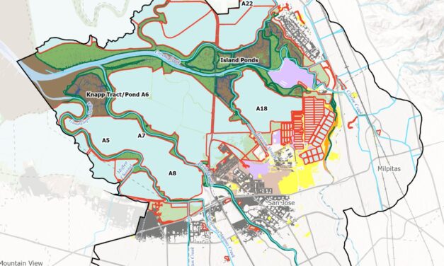 Nailing Down Opportunities for Nature-Based Infrastructure 