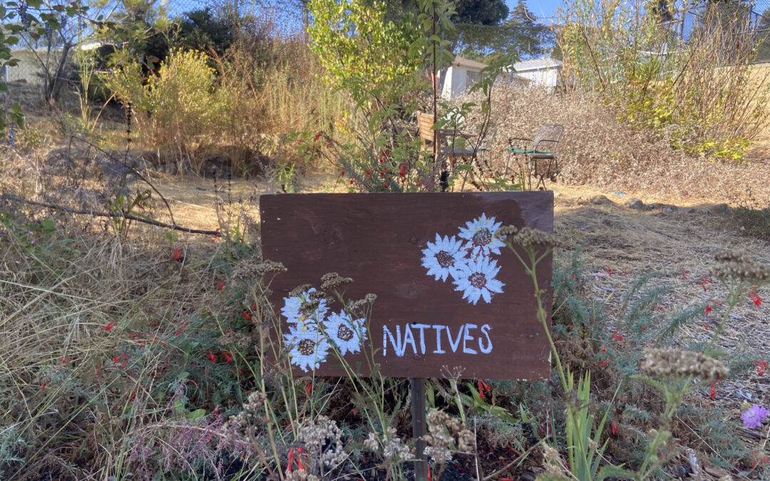 Digging in the Dirt Got Me Into Student Climate Action