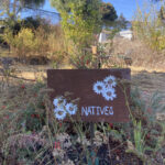 Digging in the Dirt Got Me Into Student Climate Action