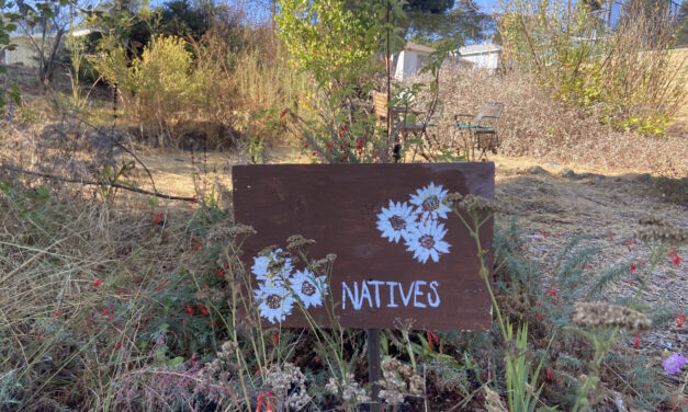 Digging in the Dirt Got Me Into Student Climate Action
