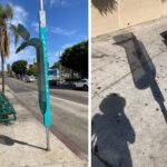 Making Shade a Priority in LA: An Interview with Sam Bloch 