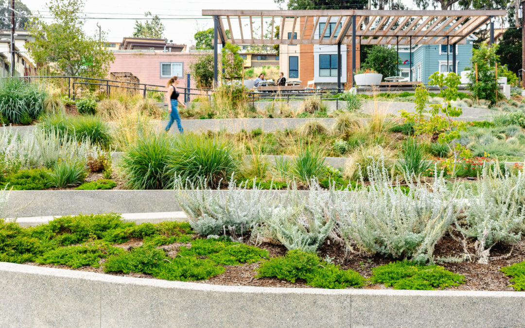 Repurposing Urban Lots & Waterfronts: Ashland Grove Park, Palo Alto Levee, and India Basin