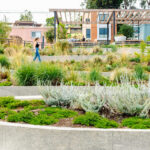 Repurposing Urban Lots & Waterfronts: Ashland Grove Park, Palo Alto Levee, and India Basin