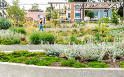Repurposing Urban Lots & Waterfronts: Ashland Grove Park, Palo Alto Levee, and India Basin