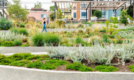 Repurposing Urban Lots & Waterfronts: Ashland Grove Park, Palo Alto Levee, and India Basin